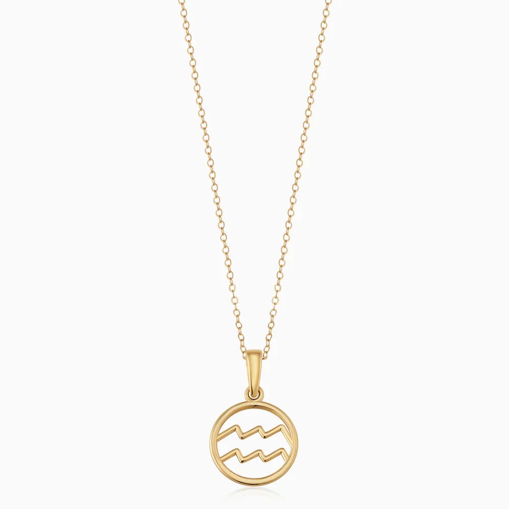 Zodiac sign necklace | White Gold - Mijn winkel